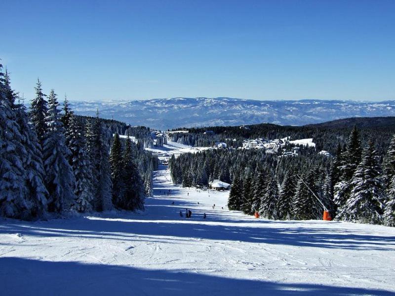 L&N Apartmani Kopaonik-Milmari Resort Extérieur photo